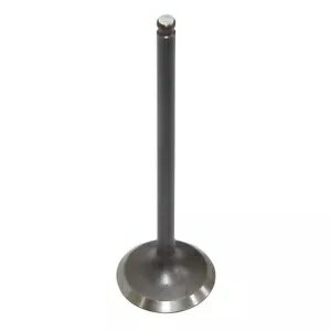 ѡ WORLDҸˤ㤨֥󥸥ӵХ ޥ VX1050 2016-2023  OEM# 8GL-12121-10-00 Engine Exhaust Valve for Yamaha VX1050 2016-2023 Replaces OEM# 8GL-12121-10-00פβǤʤ51,700ߤˤʤޤ