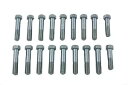 インディアン チーフ アルミニウム ヘッド ボルト セット ハーレーダビッドソン用 V-Twin Indian Chief Aluminum Head Bolt Set for Harley Davidson by V-Twin
