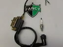 点火コイル & スパークプラグ KAZUMA ATV ミーアキャット 50 50cc ファルコン 90 90cc 110 110cc Ignition Coil & Spark Plug KAZUMA ATV Meerkat 50 50cc Falcon 90 90cc 110 110cc