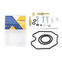 Carburetor Rebuild Carb Repair Fit For Honda TRX250 Recon 1999-2001 Carburetor R...