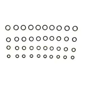 job 39 14 18β