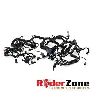 20 - 2022 BMW S1000RR メイン ハーネス エンジン配線 完全な織機電気プラグ 20 - 2022 BMW S1000RR MA..
