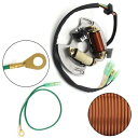 ヤマハオルタネータ磁気ステータコイル YFS200 ブラスター 5VM-85560-00 2003-2007 For Yamaha Alternator Magneto Stator Coil YFS200 Blaster 5VM-85560-00 2003-2007