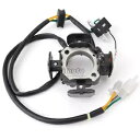 発電機ステータコイルカワサキ 21003-S003 KLX125 2003-2006 Generator Stator Coil For Kawasaki 21003-S003 KLX125 2003-2006(2)