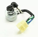 バッファローツール スポーツマン GEN7000 GEN7013 GEN7500DF ジェネレーター用イグニッションスイッチ Ignition Switch for Buffalo Tools Sportsman GEN7000 GEN7013 GEN7500DF Generator