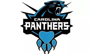 饤 ѥ󥵡 ǥ ~ ӥˡ  - ɡۡ եå D3 Carolina Panthers Deca...