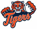 デトロイト タイガース デカール D2 ~ ビニール カー ウォール ステッカー - 壁、S ~ XLarge Detroit Tigers Decal D2 ~ Vinyl Car Wall Sticker - Wall, Small to XLarge