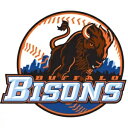 バッファロー バイソン デカール MiLB ~ ビニール カー ウォール ステッカー D2 Buffalo Bisons Decal MiLB ~ Vinyl Car Wall Sticker D2