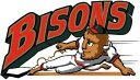 バッファロー バイソンズ デカール MiLB ~ ビニール車ウォール ステッカー Buffalo Bisons Decal MiLB ~ Vinyl Car Wall Sticker