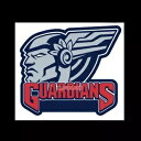 クリーブランド ガーディアンズ デカール ~ ビニール 車 ウォール ステッカー - 壁、S ~ XL Cleveland Guardians Decal ~ Vinyl Car Wall Sticker - Wall, Small to XLarge