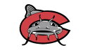 カロライナ マッドキャッツ デカール MiLB ~ ビニール カー ウォール ステッカー D2 Carolina Mudcats Decal MiLB ~ Vi...