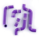 パープル シリコン ラジエーター クーラント ホース キット 1996-2012 アプリリア RS 125 RS125 用 Purple Silicone Radiator Coolant Hose Kit for 1996-2012 Aprilia RS 125 RS125(2)