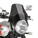 プイグフロントスクリーン大学ネイキッド カワサキ ER-5 ツイスター 97-06 ダークスモーク PUIG WINDSCREEN UNIV. NAKED KA...