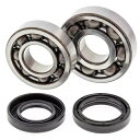 すべてのボール クランクシャフト ベアリング ヤマハ 200 ブラスター 1988-2006 24-1043 All Balls Crankshaft Bearings Yamaha 200 Blaster 1988-2006 24-1043