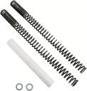 プログレッシブ フォーク スプリング 11-1126 Progressive Fork Springs 11-1126(2)