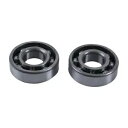Hot Rods HR00011 カウンターバランサーキット さまざまなポラリス 400 500 ATV UTV 用 Hot Rods HR00011 Counter Balancer Kit for various Polaris 400 500 ATV UTV