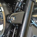 Kawasaki Z900RS ブロックオフプレート 2018-現在 New Rage Cycles Kawasaki Z900RS Block Off Pla...
