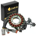ステーター Ski Doo MX Z 440X Racing 2006-07 / MX Z 500SS 03-07 磁気ジェネレーター Stator for Ski Doo MX Z 440X Racing 2006-07 / MX Z 500SS 03-07 Magneto Generator(2)
