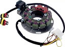 Polaris XC、RMK 700 SPI ステーター アセンブリ SM-01355 Polaris XC, RMK 700 SPI Stator Assembly SM-01355(2)