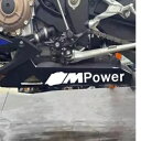 BMW S1000RR 2019-2023 M スポーツ猫カバー下腹部...(2)