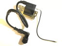 ボビナ デ エンセンディド パラ カワサキ KDX250 KDX 250 ダートバイク 1980 1981 BOBINA DE ENCENDIDO PARA KAWASAKI KDX250 KDX 250 DIRTBIKE 1980 1981(2)