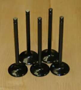 ޥ ץ 660 660R ֥ۥ磻 (5) ۵ӵХ Х֥å 2001-2005 Yamaha Raptor 660 660R KibbleWhite (5) Intake Exhaust Valve Valves Kit 2001-2005