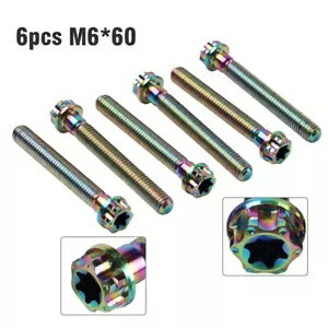 6x ͥȥ륯إåɥե󥸥ͥ M6x60mm ȥХѥ쥤ܡ- 6x titanium screws torx head flanges screws M6x60mm rainbow for motorcycle-