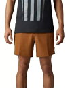 フォックス レーシング エセックス バレー メンズ ショーツ ナツメグ Fox Racing Essex Volley Mens Shorts Nutmeg