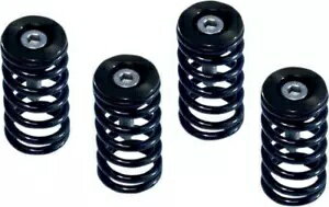 ѡ WORLDҸˤ㤨Barnett å ץ å ֥å å Ducati ȥХ Barnett Clutch Spring Kit Black for Dry Clutch Ducati MotorcyclesפβǤʤ60,500ߤˤʤޤ