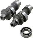 Andrews TW48 グラインド カム (288148) Andrews TW48 Grind Cams (288148)