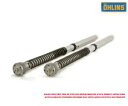 オーリンズ カートリッジキット NIX 30 ホンダ CBR 1000 Rr/r 2020 - 2023 FGK 241 Ohlins Cartridge Ki...