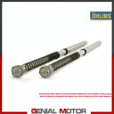 オーリンズ カートリッジキット NIX 30 ホンダ CBR 1000 Rr/r 2020 - 2021 FGK 241 Ohlins Cartridge Ki...