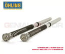 オーリンズ カートリッジキット NIX 30 ヤマハ YZF R1 2020 - 2023 FGK 239 Ohlins Cartridge Kit NIX 3...