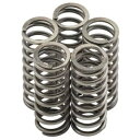 ヤマハ XJ900 S ディバージョン 95-03 ニューフレン クラッチ スプリング キット MO067F- Yamaha XJ900 S Diversion 95-03 Newfren Clutch Spring Kit MO067F-