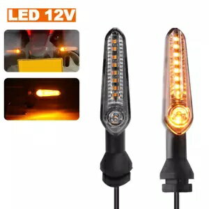 ѡ WORLDҸˤ㤨֥ꥢ󥷥ʥ륦󥫡ήɥƥѥ˥ 955 V2 1000 1100 V4 Rear Turn Signal Blinker Flowing Light For DUCATI Panigale 955 V2 1000 1100 V4פβǤʤ52,800ߤˤʤޤ