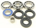 Arctic Cat 500 オートマチック 4x4 02 用オールボール リア ディファレンシャル ベアリング キット All Balls Rear Differential Bearing Kit for Arctic Cat 500 Automatic 4x4 02
