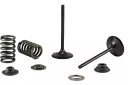 サイキック インテーク バルブとスプリング キット ヤマハ YZ250F 01-16 Psychic Intake Valve and Spring Kit Yamaha YZ250F 01-16