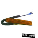 サイドマーカー 純正GMサイドマーカーランプ25952319 Genuine GM Side Marker Lamp 25952319