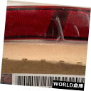 サイドマーカー 23126885 GM2861113後部右サイドマーカーシボレーの乗客RHハンドカマロ 23126885 GM2861113 Rear Righ...