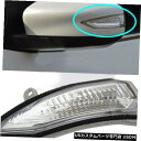 Turn Signal Lamp 日産マキシマ2015-2017の運転席側背面図ミラーライトターンシグナルランプ Driver Side Rear View M...
