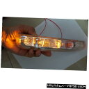 Turn Signal Lamp シボレーキャプティバ右サイド用1XリアビューミラーターンシグナルランプLEDライト 1X rear view mirror t...