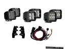リジッド産業41610 DシリーズLEDフォグランプキットは17-18 F-150に適合します Rigid Industries 41610 D-Series ...