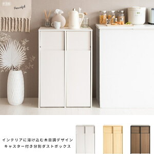 臭いが漏れにくいゴミ箱 分別キャスターダストボックス new Helios ヘリオス ゴミ箱に見えないゴミ箱 ごみ箱 塵箱 m-DB-F2100-new キッチン 宮武製作所 送料無料 キャスター付き 45リットル×2 ゴミ袋対応 天板フラット 臭いが漏れにくい ホワイト