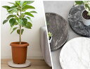 植木鉢の皿 プランタースタンド Treno トレーノ 直径30cm 植木鉢をお洒落に プレート mim-MST-D300 鉢置き 鉢を置く台 おしゃれ 収納 宮...
