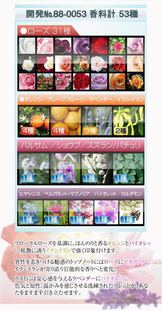 PARIS HILTON ローズラッシュ ボディミスト 236ml 【フレグランス ギフト 新生活2025 誕生日 ボディケア】【ROSE RUSH BODY MIST】