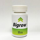 (ビッグロウ BIGROW)健康 応援 サプリメント キビ種子 亜鉛 メチルサリフォニルメタン セレン含有酵母 コラーゲンペプチド BIGROW(4)