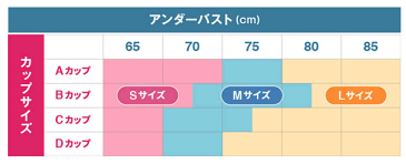 ●あす楽（ブラックLサイズ）（育乳補正ナイトブラ ブラグランデ）Bragrande 戸瀬恭子 CECIL セシル ノンワイヤー ブラジャー かわいい sexy バストアップ ジャックままオリジナル サロン専売品 インナー 下着 バストアップブラジャー バストアップナイトブラ 送料無料