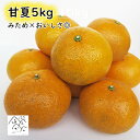 甘夏 5kg 訳あり L〜3L 10個～15個 みため×おいしさ◎ 樹上完熟で酸味やわらか 柑橘 産地直送 セール 愛媛県愛南町産【送料無料※北海道・沖縄は除く】