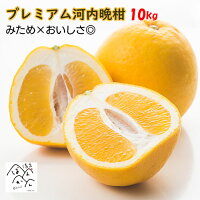 プレミアム河内晩柑 樹齢20年以上限定！訳あり10kg ワンランク上の味 箱買い お取...