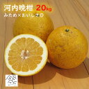 河内晩柑 訳あり20kg（10kg×2箱）みため×おいしさ◎ 【かわちばんかん愛媛県愛南町産】【送料無料※北海道・沖縄は除く】